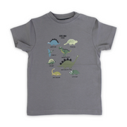 Baby Boys Cotton T-Shirt – Grey with Dinosaurs Print
