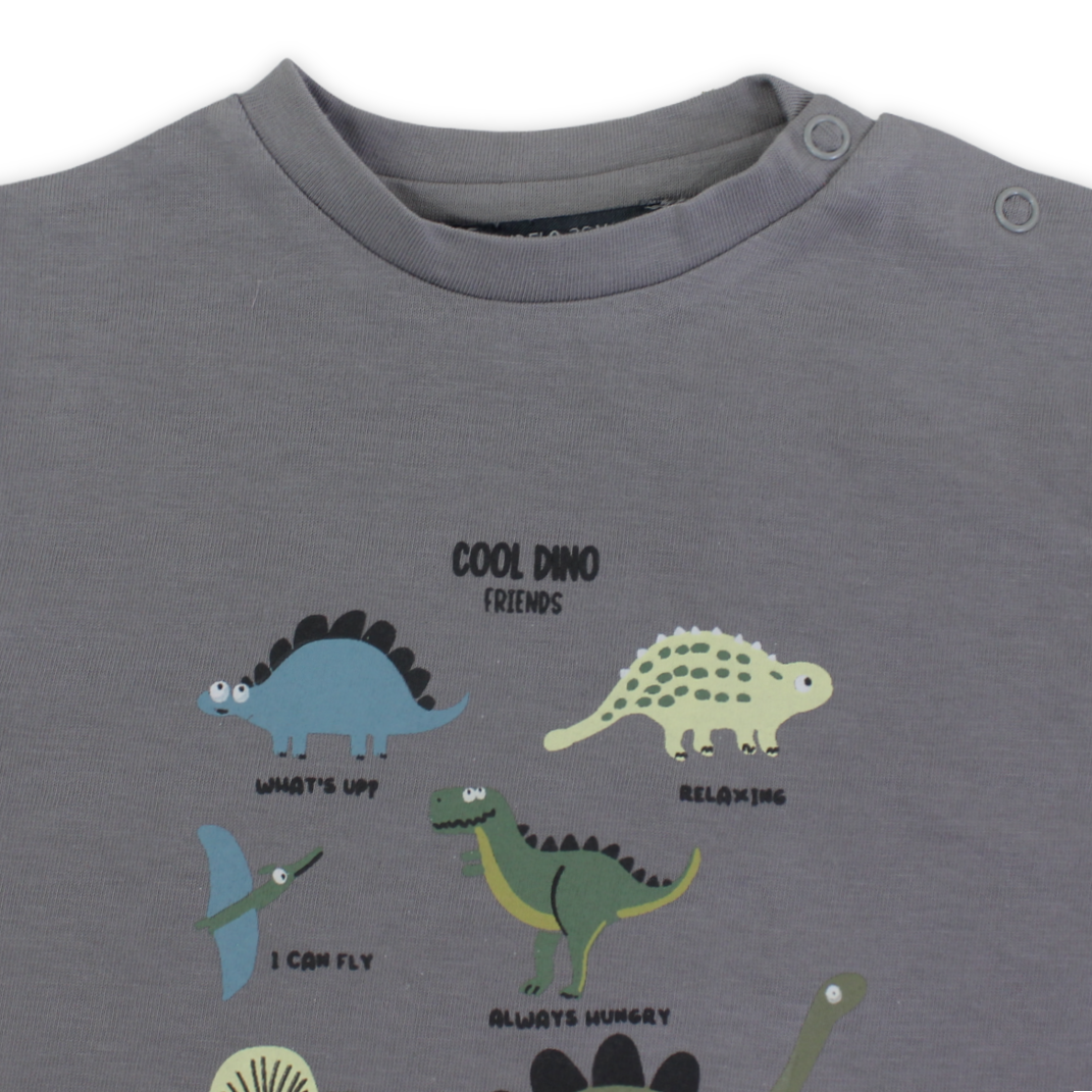 Baby Boys Cotton T-Shirt – Grey with Dinosaurs Print
