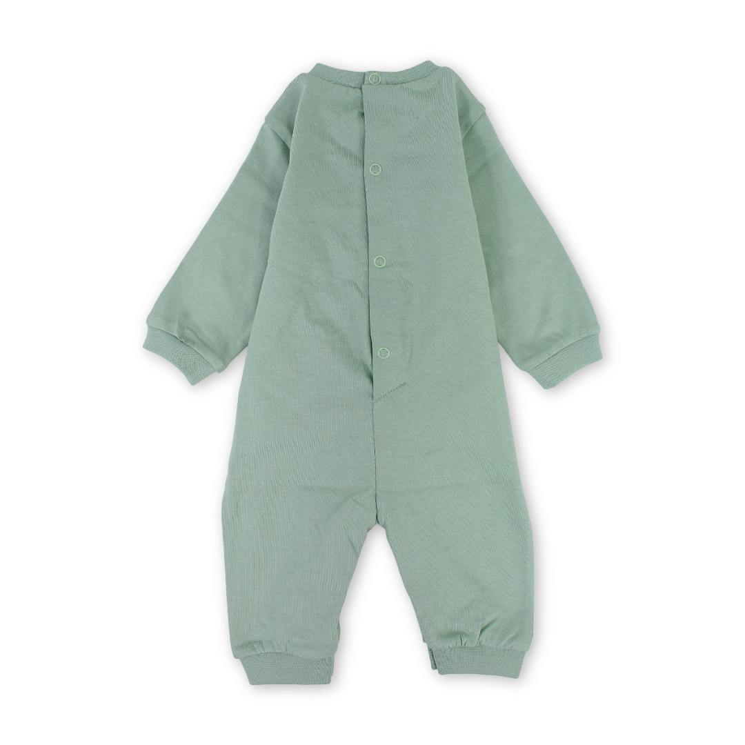 Baby Boys Cotton Baby Footie – Mint with "Bear Hug" Print