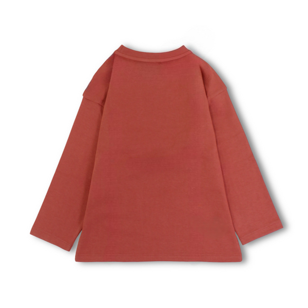 Boys Cotton Long-Sleeved T-Shirt – Teddy Bear Print