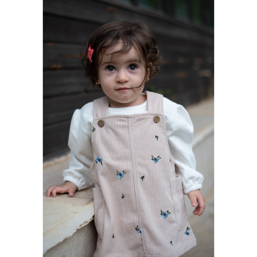 Baby Girls Cotton/Velvet 2-Piece Outfit Set – Coffee/Baby Blue