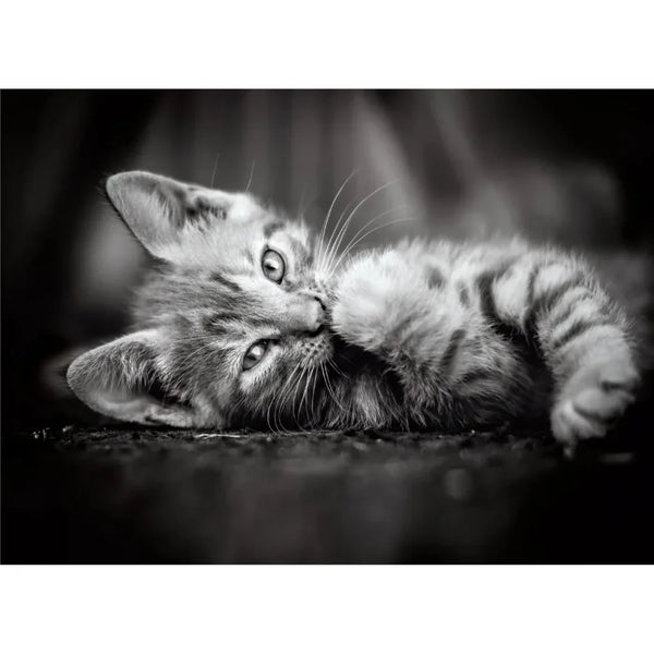 Clementoni Kitty High Quality Collection Puzzle - 1000 Pcs