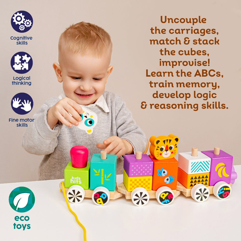 Kids Hits Wooden Train Happy Friends