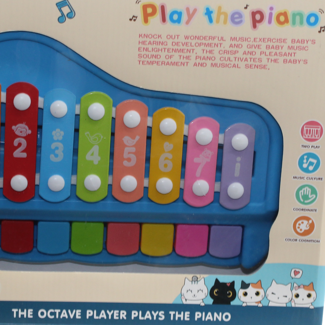 Huanger Large Vocal Piano Xylophone Toy for Kids – Blue