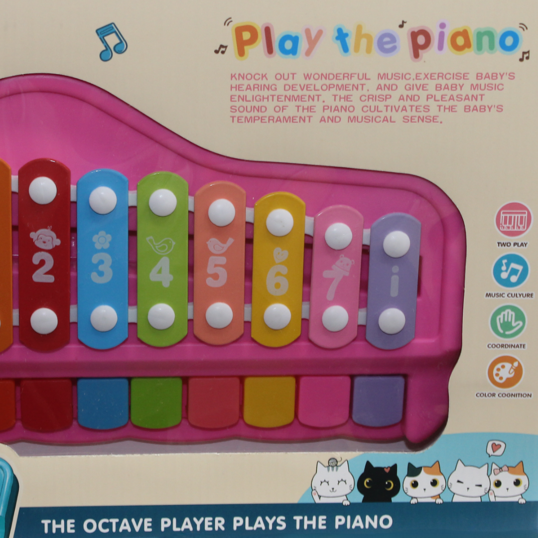 Huanger Large Vocal Piano Xylophone Toy for Kids – Pink