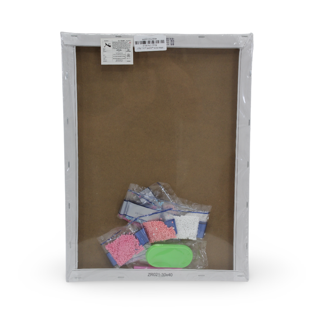 Mymelody Diamond Painting Art Kits 40*30cm