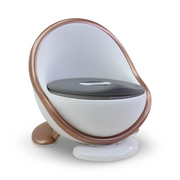 Baby Potty Training – White & Gold