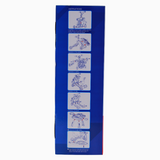 Multifunction Walker - Blue