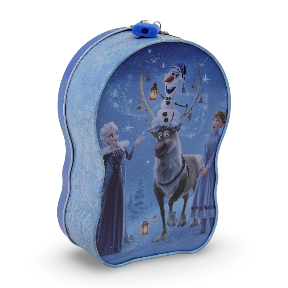 Frozen Metal Coins Safe Box