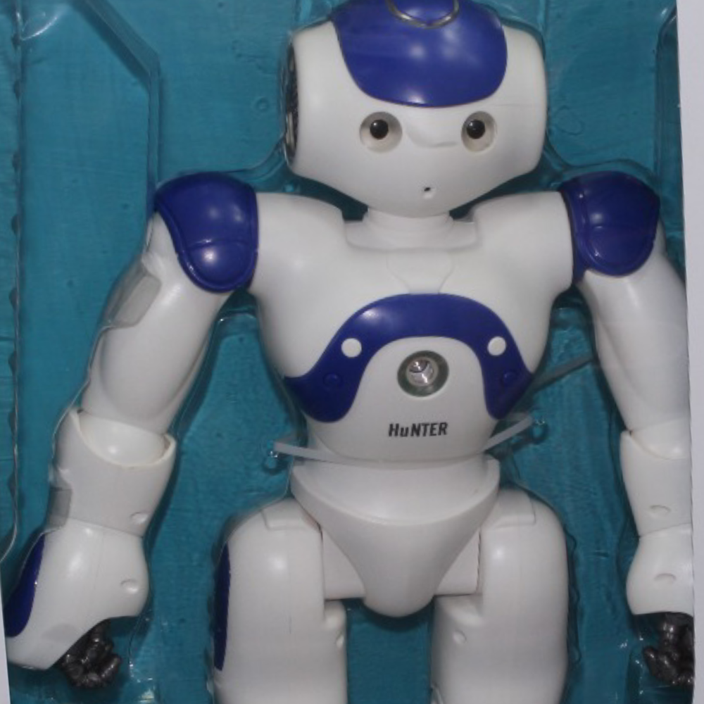 Remote Control Robot with App Interaction