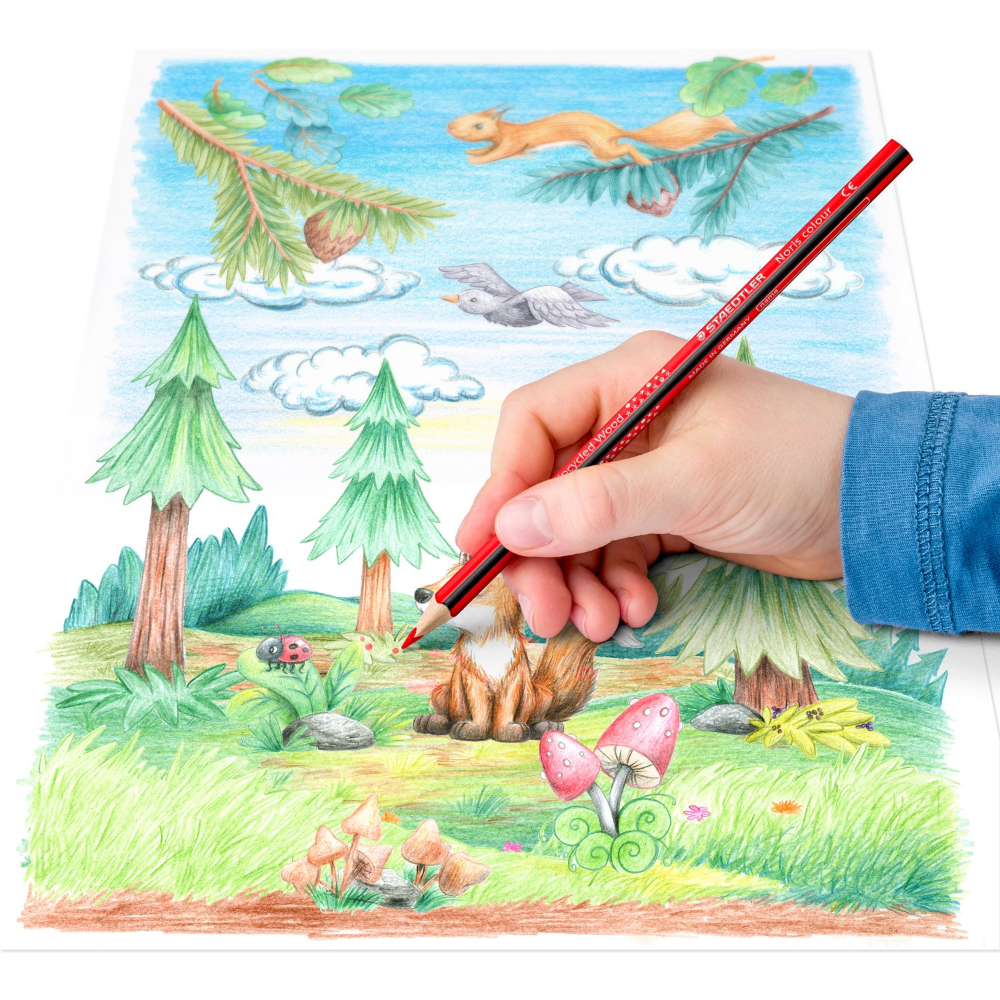 Staedtler Noris Wooden Colored Pencils – 24 Colors