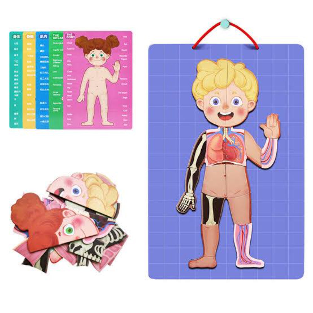 Body Mystery Magnetic Stick – 90 Pcs - Toys - Bright Future