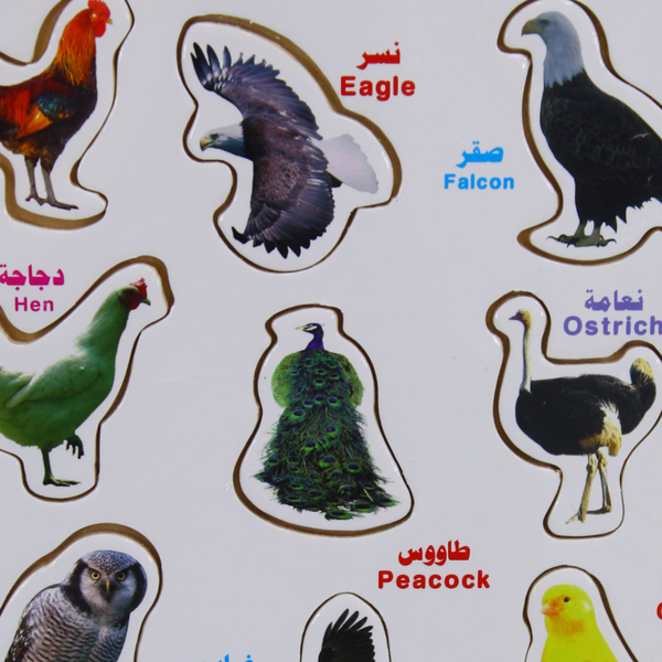 Birds Matching Board