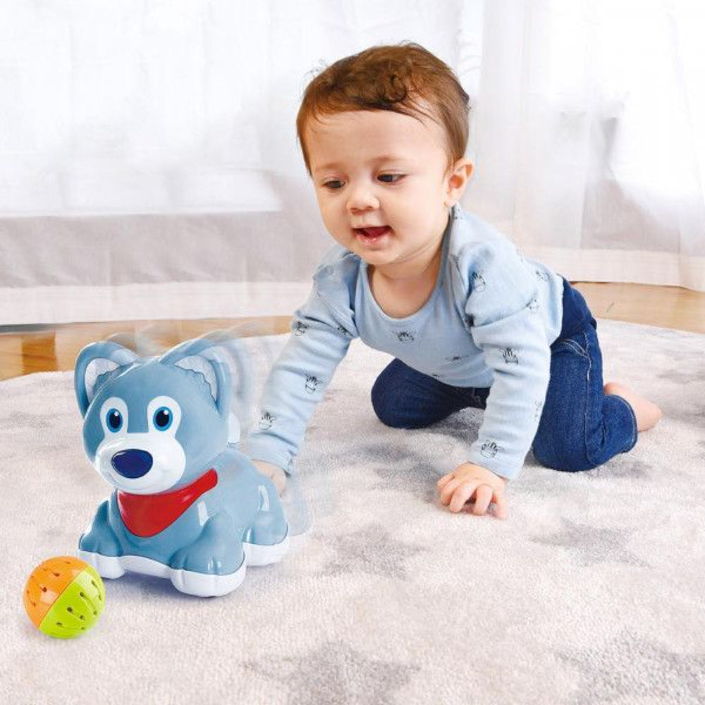 Play Go Play With Me Puppy With Sound