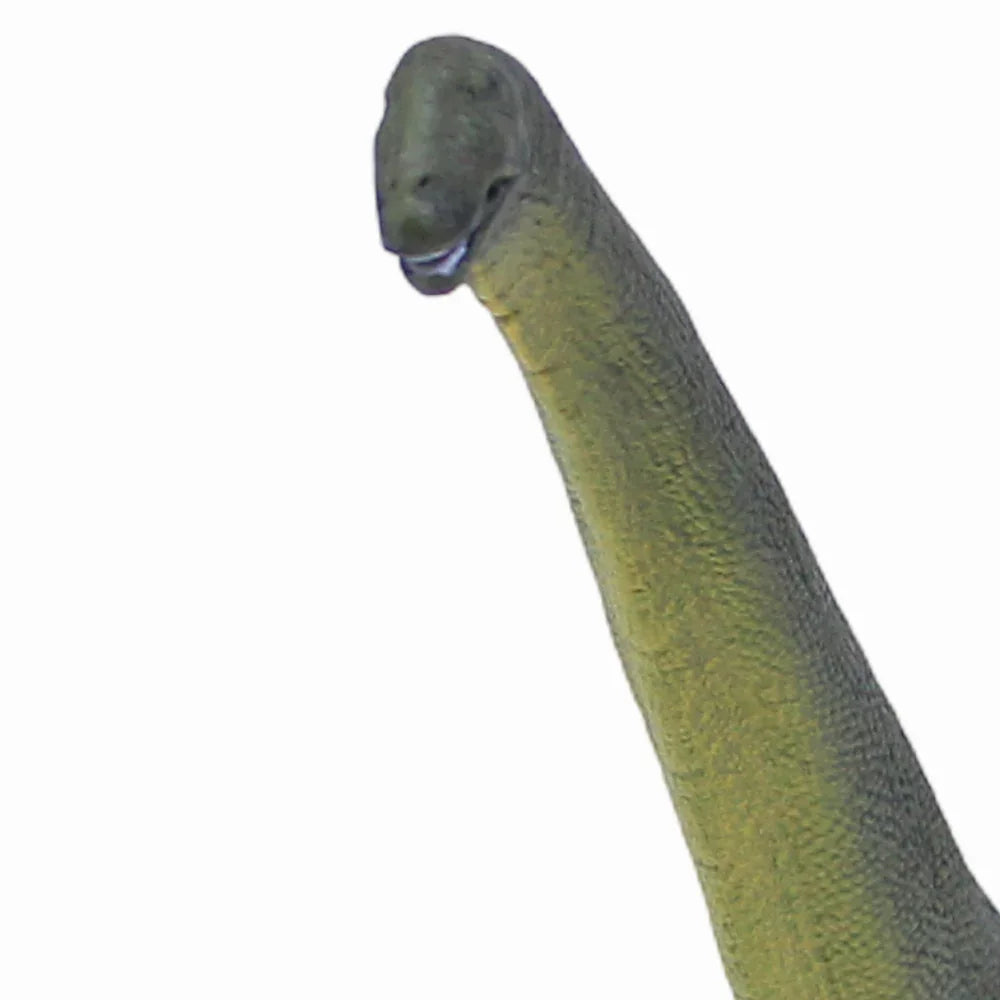 CollectA Dreadnoughtus Dinosaur Figurine