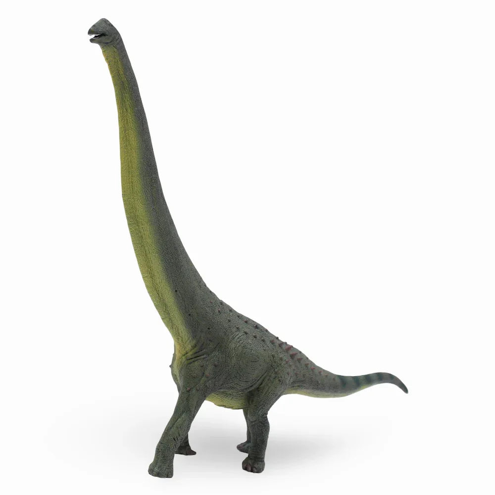 CollectA Dreadnoughtus Dinosaur Figurine