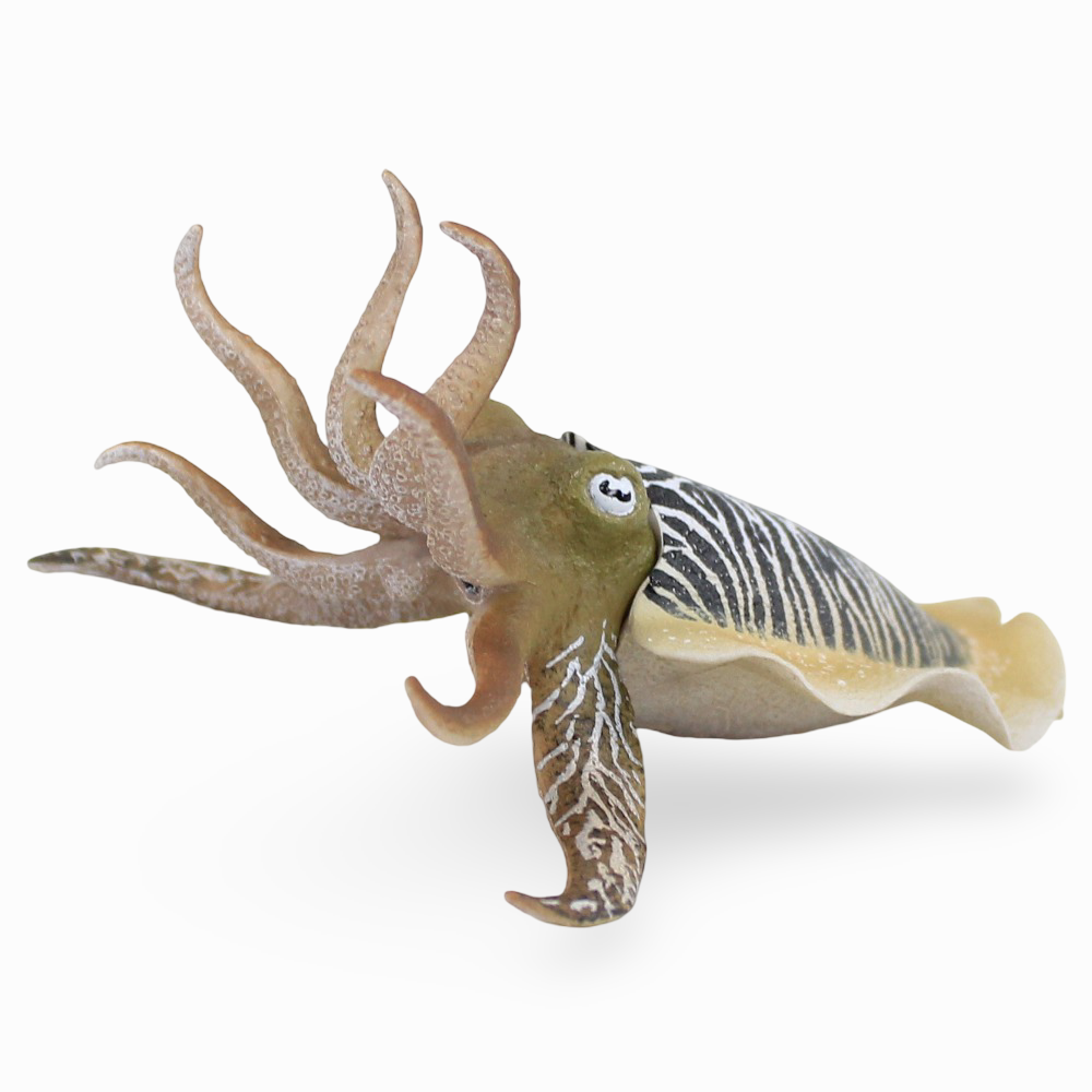 CollectA Common Cuttlefish Figurine