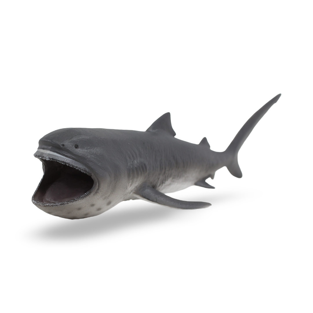 CollectA Megamouth Shark Figurine - Toys