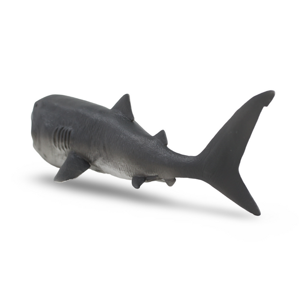 CollectA Megamouth Shark Figurine