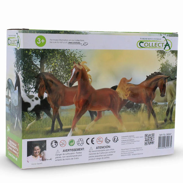 مجسم حصان مورغان باي من CollectA في علبة عرض فاخرة