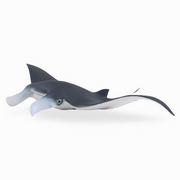 CollectA Manta Ray Figurine