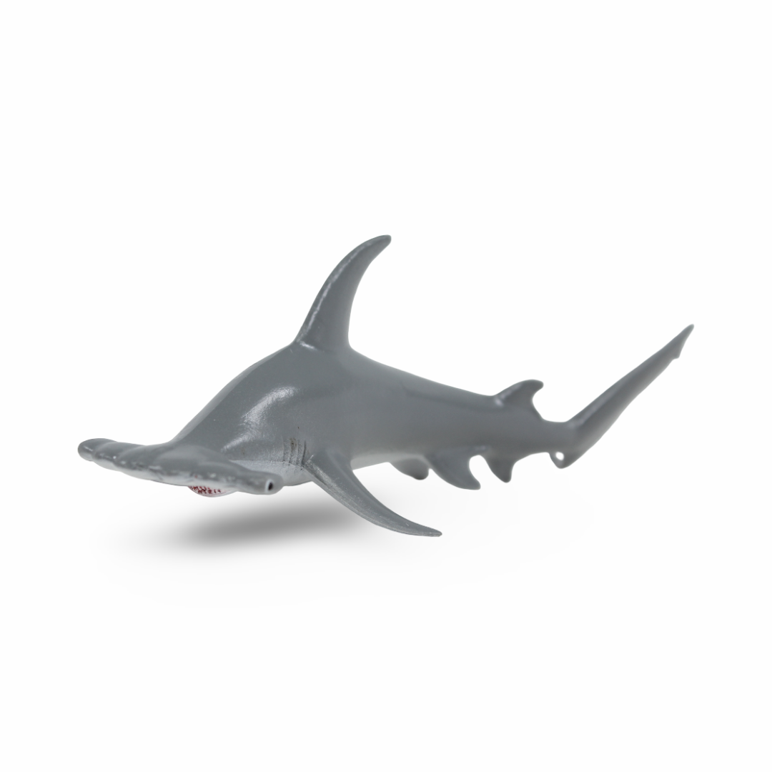 CollectA Scalloped Hammerthead Figurine