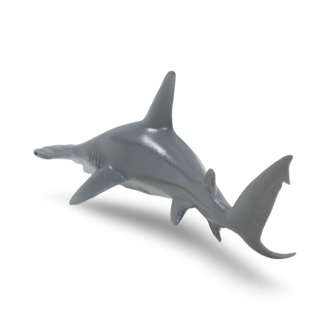 CollectA Scalloped Hammerthead Figurine
