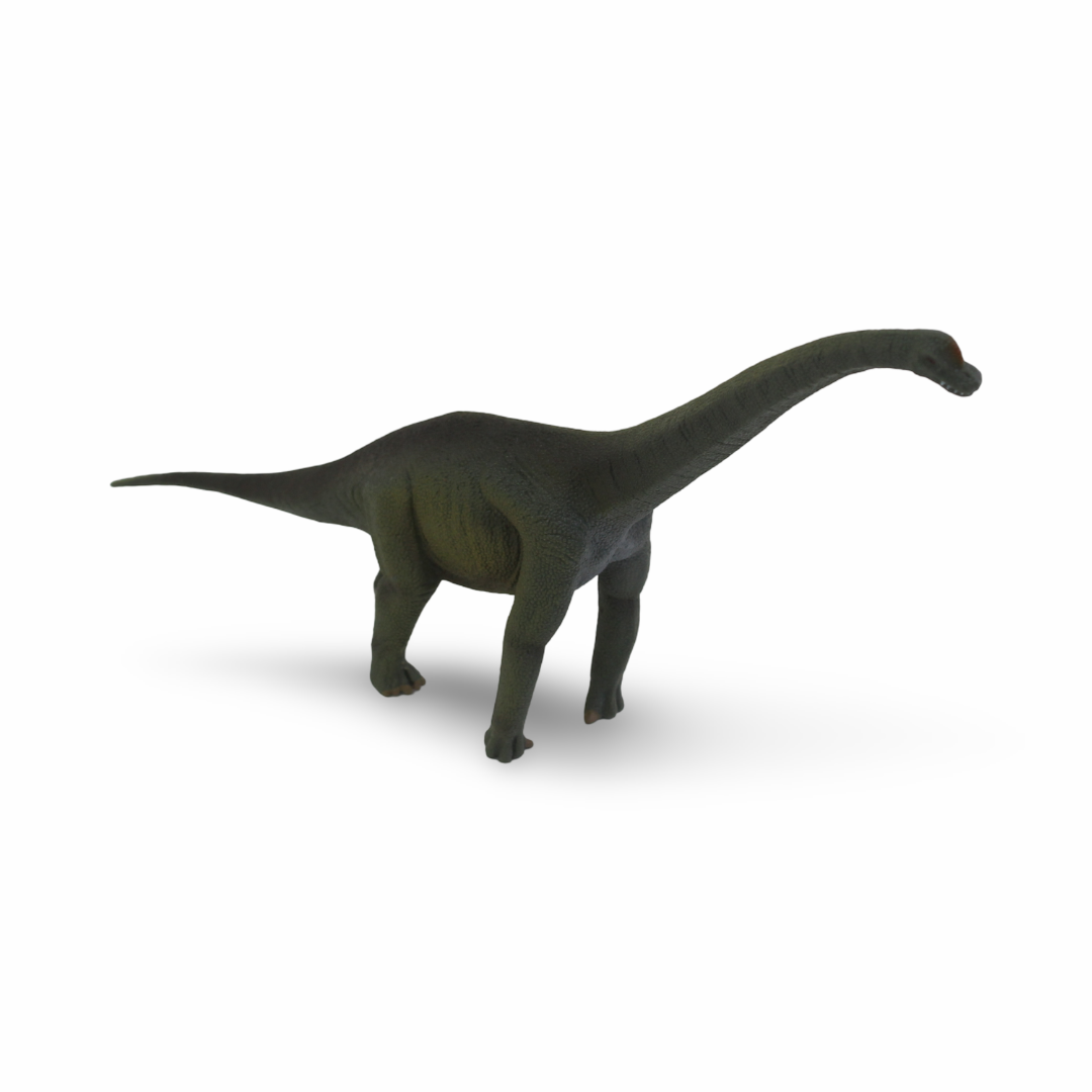CollectA Brachiosaurus Figurine - Toys