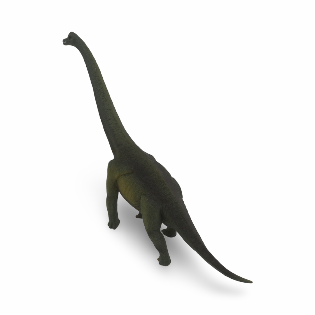 CollectA Brachiosaurus Figurine