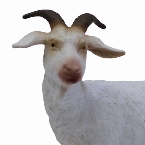 مجسم عنزة بيلي من كوليكتا