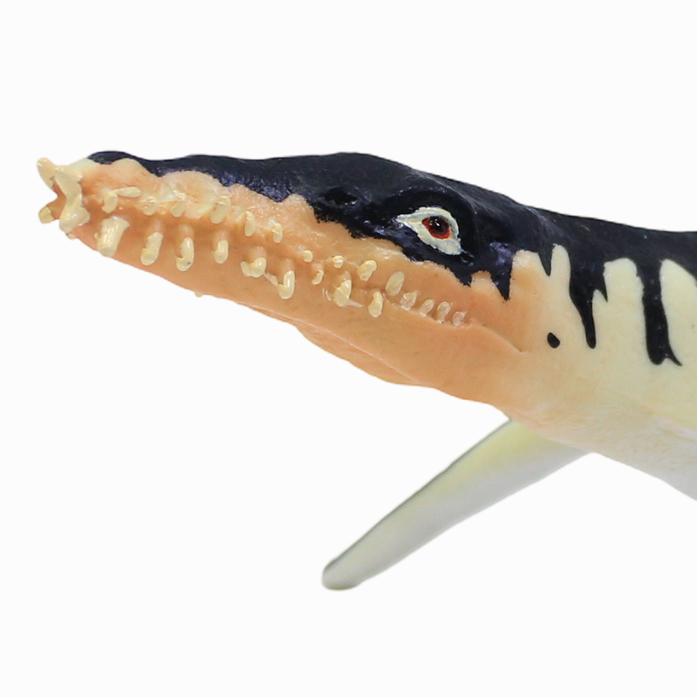 CollectA Liopleurodon Figurine