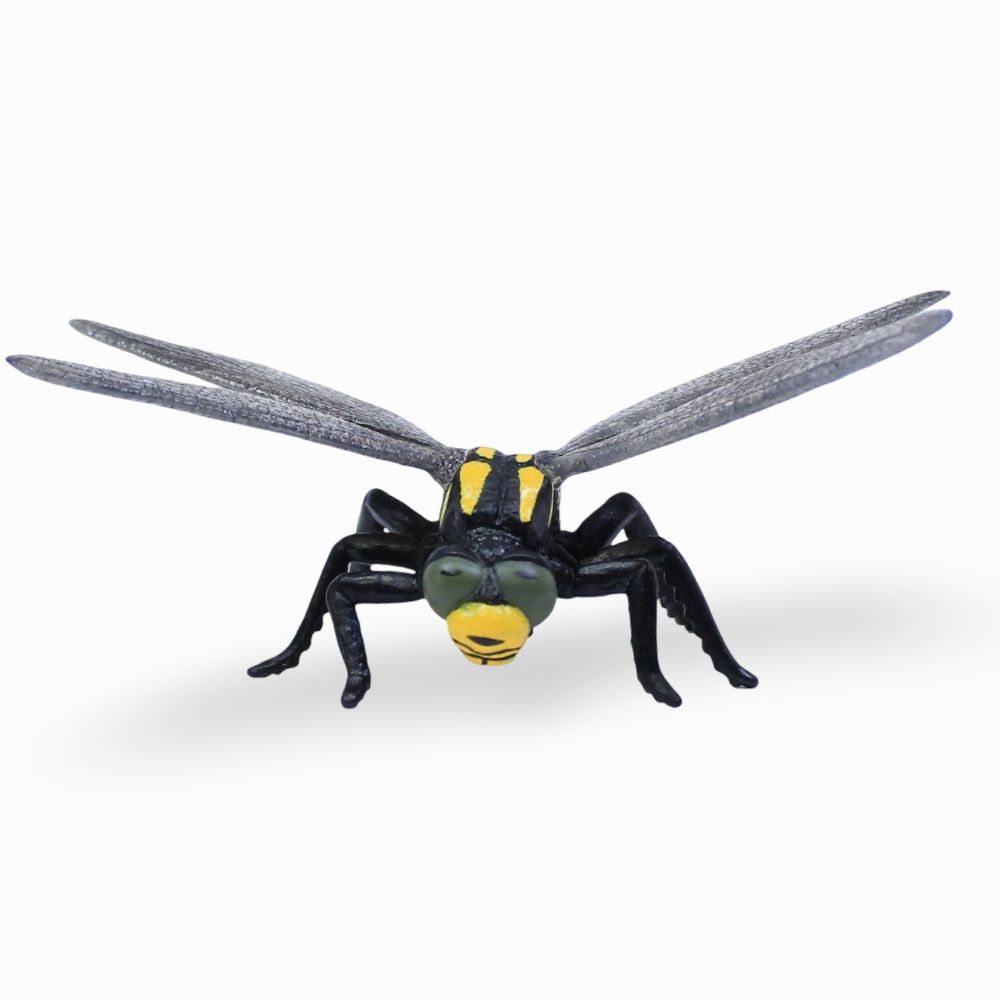 CollectA Golden-Ringed Dragonfly Figurine