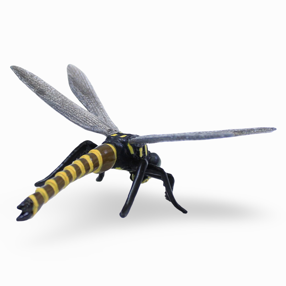 CollectA Golden-Ringed Dragonfly Figurine