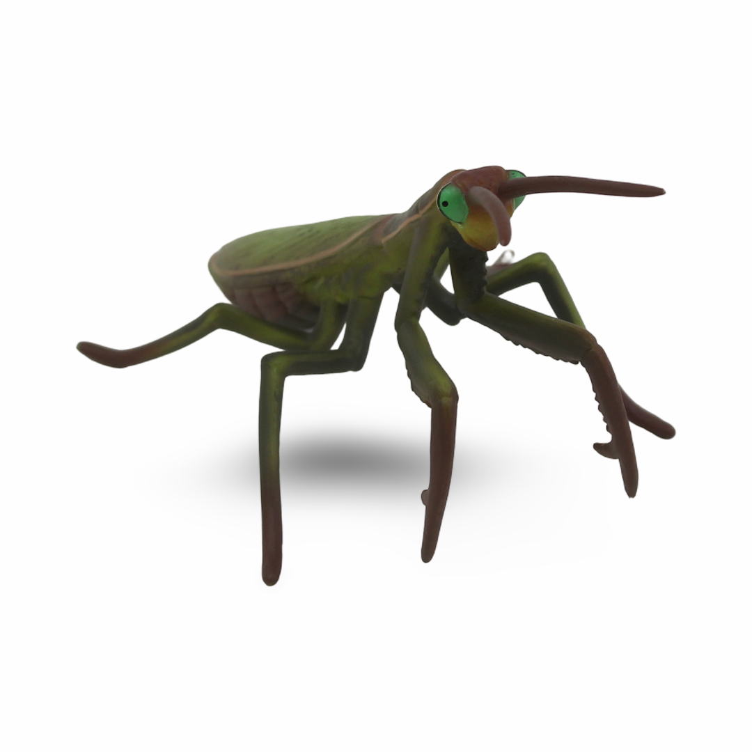 CollectA Praying Mantis Figurine - Toys