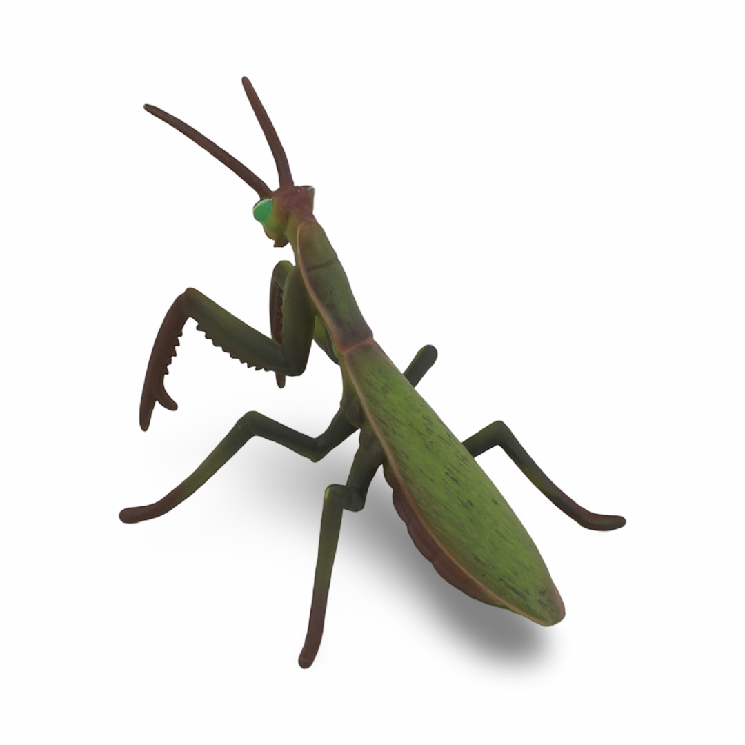 CollectA Praying Mantis Figurine