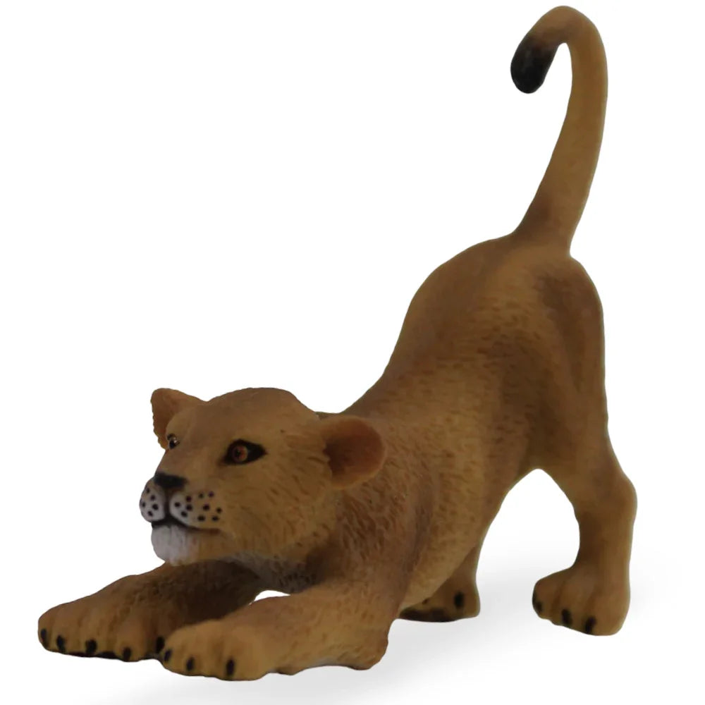 CollectA Lion Cub (Stretching) - Toys