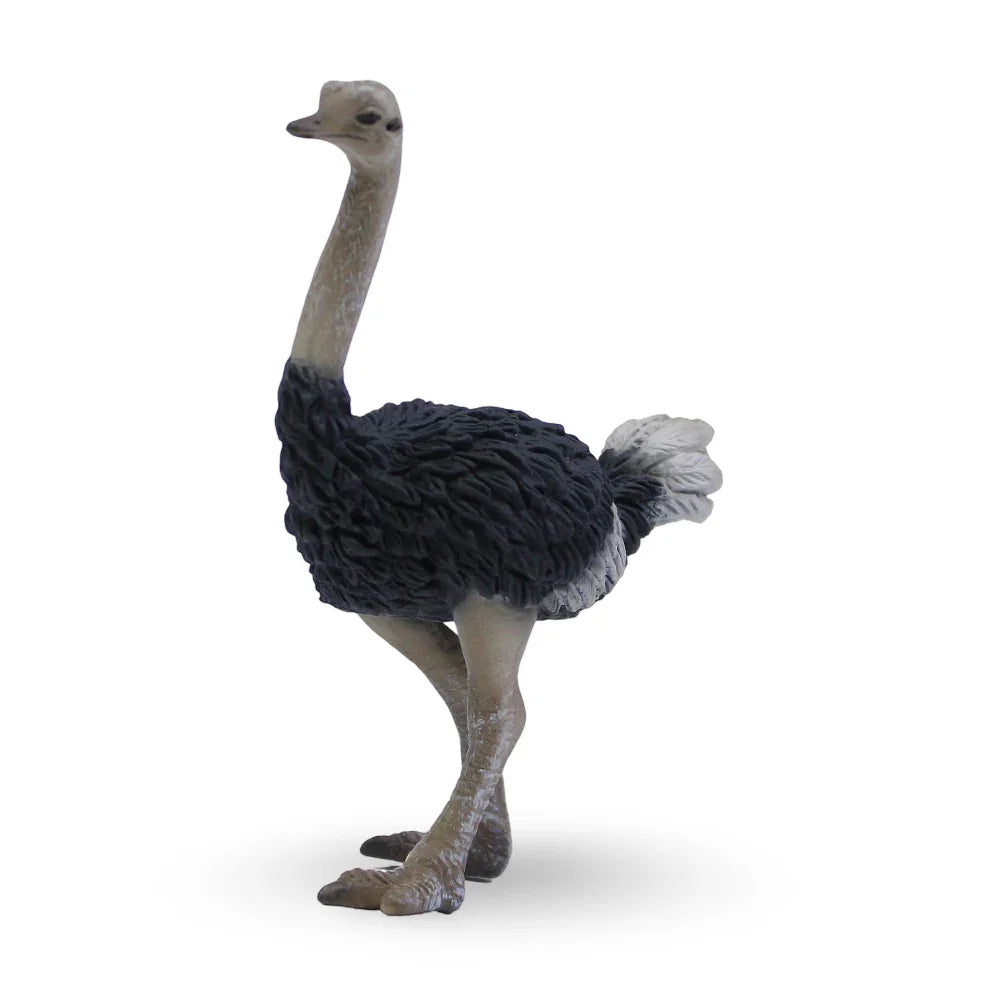 CollectA Ostrich Figurine