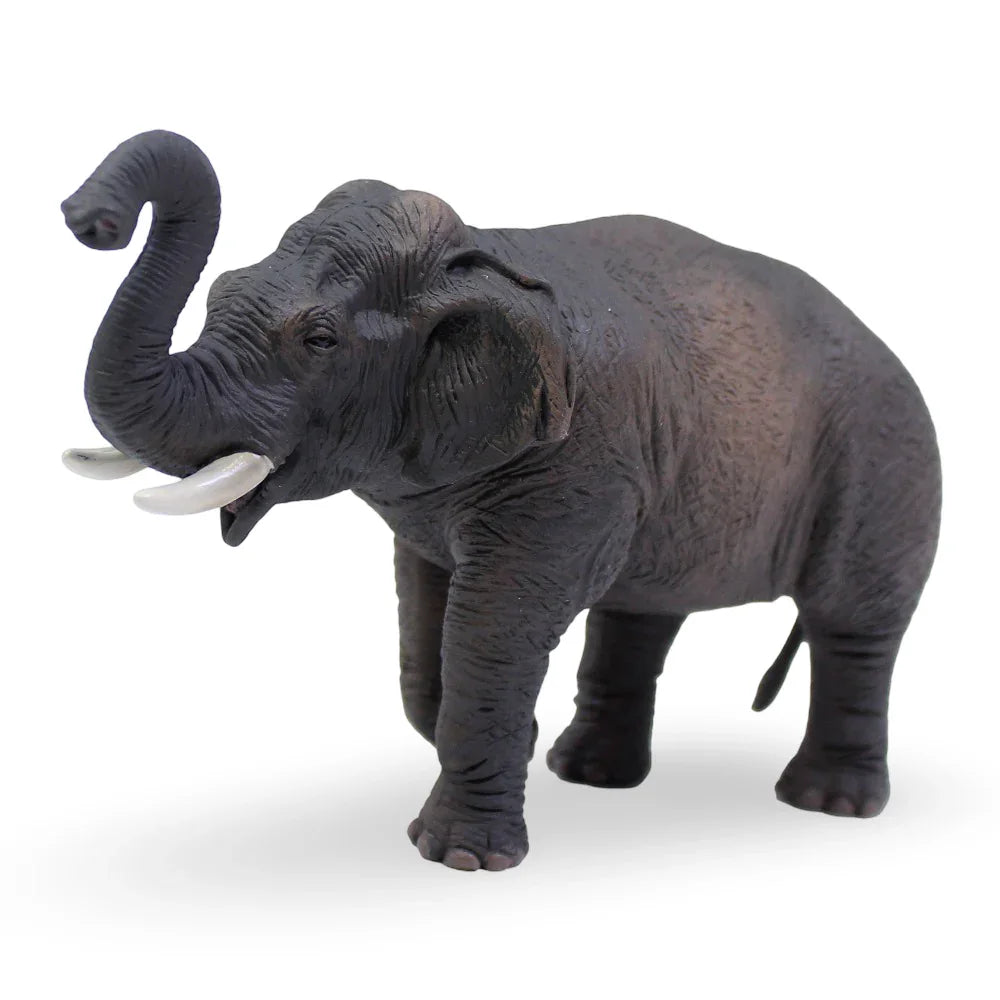 CollectA Asian Elephant Figurine - Toys