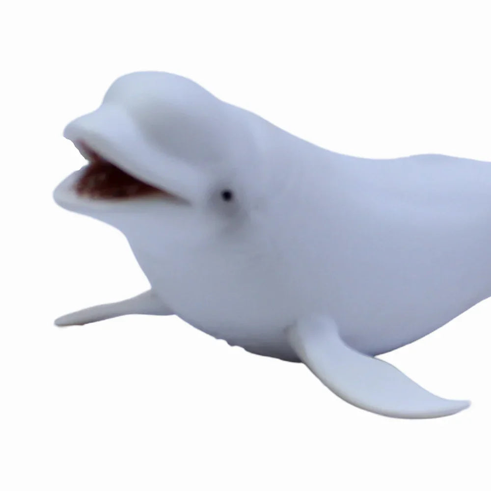 CollectA Beluga Whale Figurine