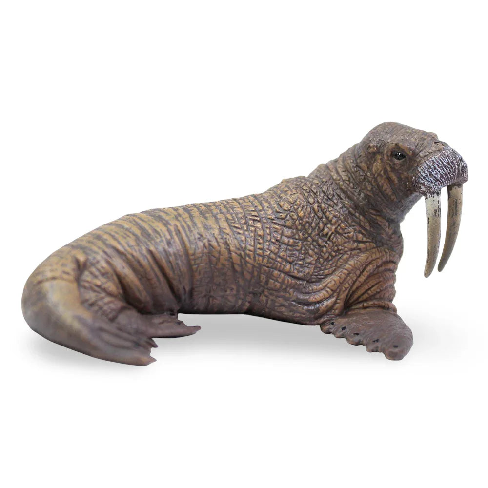 CollectA Miniature Walrus Animal Figurine - Toys