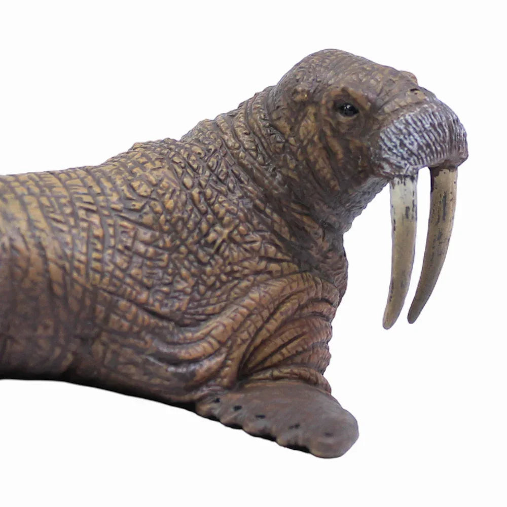 CollectA Miniature Walrus Animal Figurine