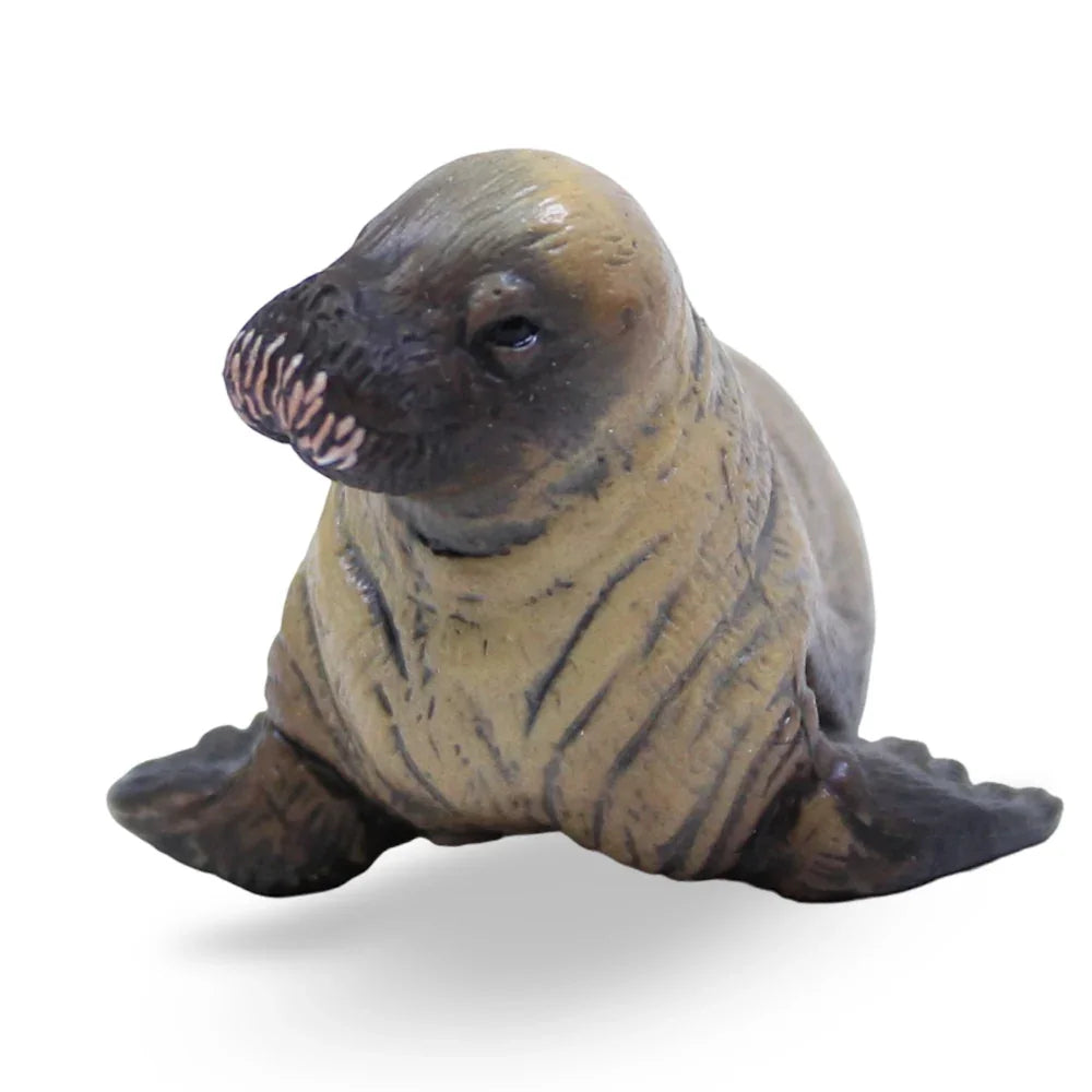 CollectA Walrus Calf Figurine