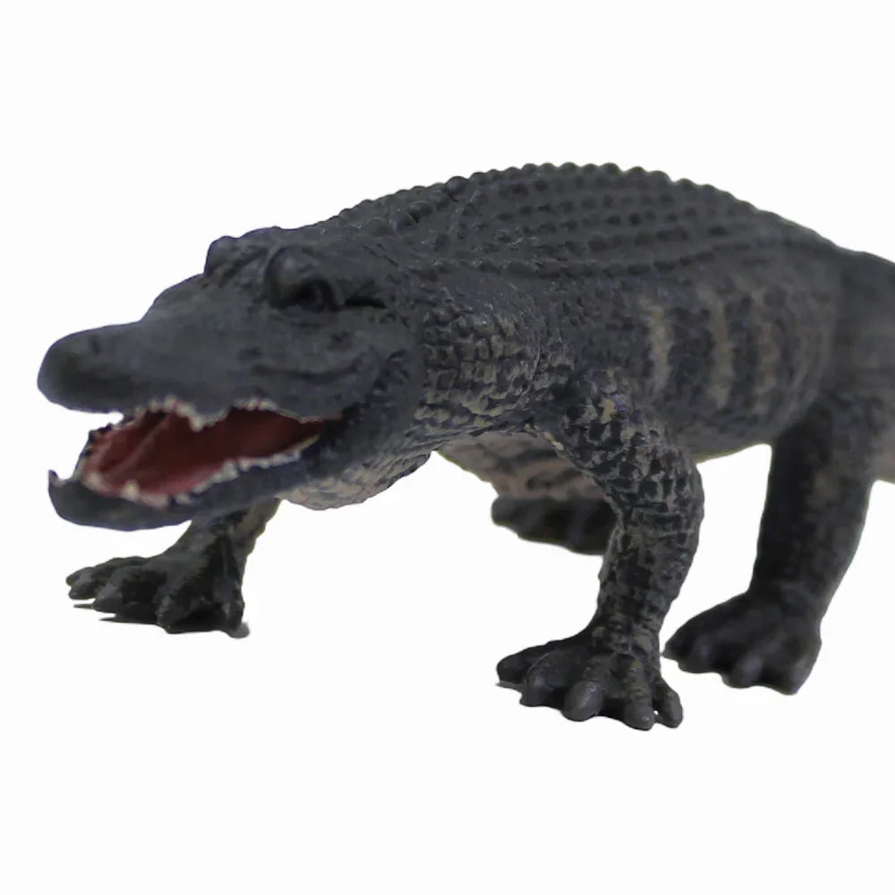 CollectA American Alligator Figurine