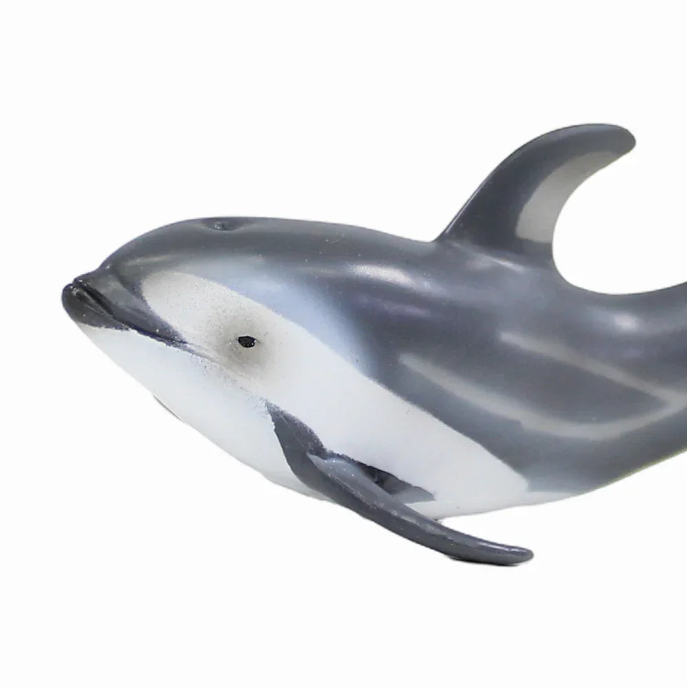 CollectA Pacific White-Sided Dolphin Figurine