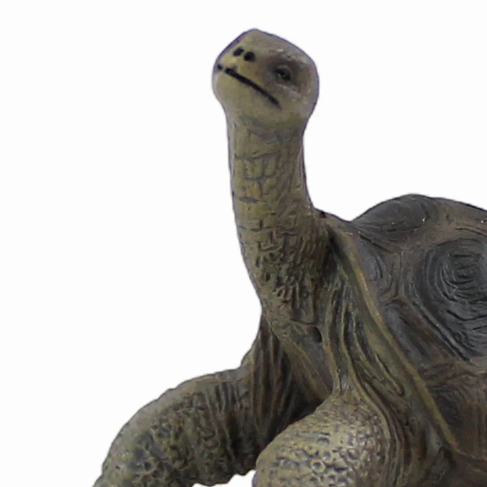 CollectA Pinta Island Tortosie Figurine