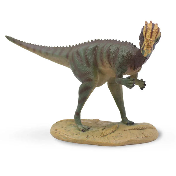 CollectA Pachycephalosaurus Figurine