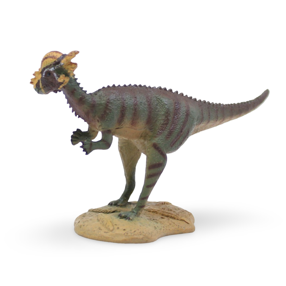 CollectA Pachycephalosaurus Figurine