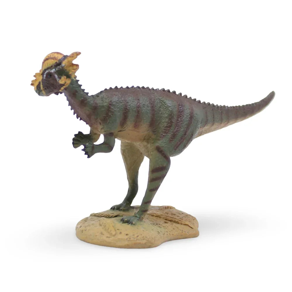 CollectA Pachycephalosaurus Figurine - Toys
