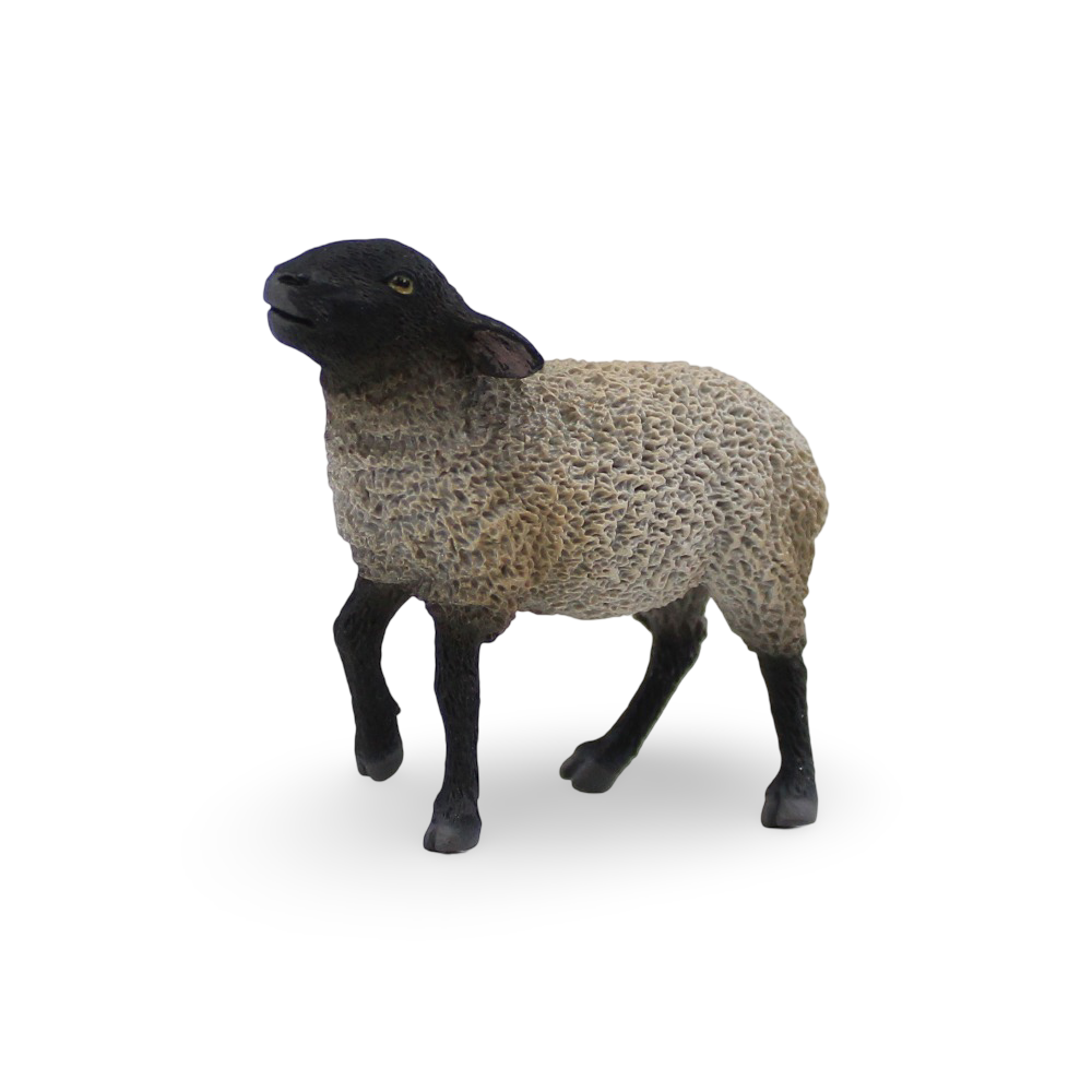 CollectA Suffolk Figurine