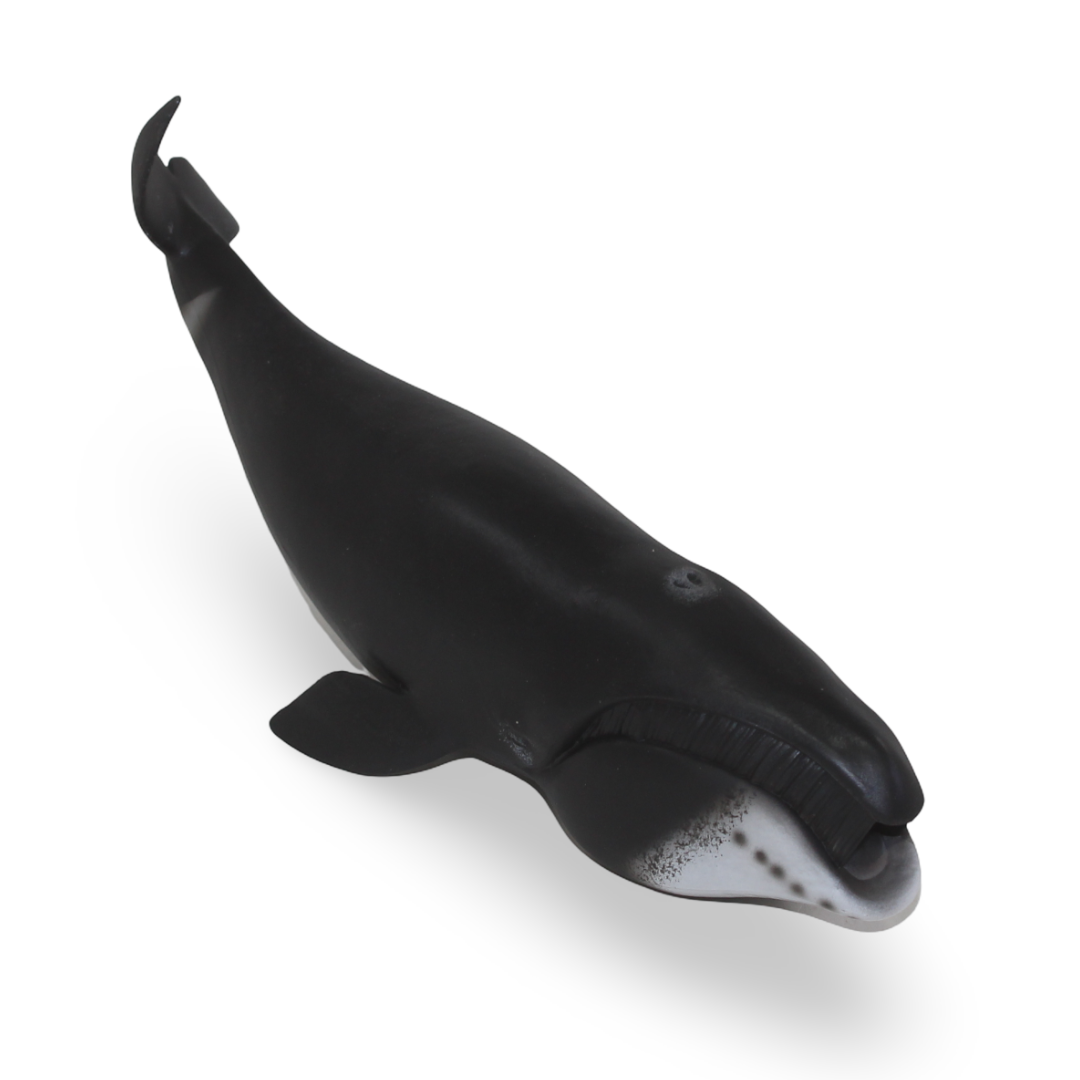 CollectA Bowhead Whale Figurine - Toys